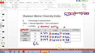 How to do the ShannonWeiner Diversity Calculation [upl. by Reynard]