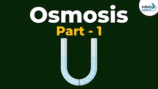 What is Osmosis  Part 1  Cell  Infinity Learn [upl. by Idnat]