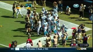 Panthers Steve Smith TD Fight [upl. by Staford]