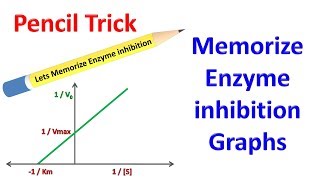 Memorize Enzyme Inhibition [upl. by Patterson849]