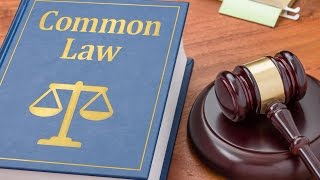 What is Common Law [upl. by Shoshanna]