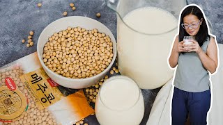 How to Make Soy Milk At Home Easy Instant Pot Recipe [upl. by Ettenahs]