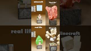 Minecraft REALISTIC Simulations [upl. by Anaejer]