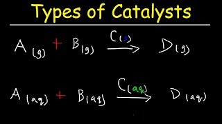 Homogeneous vs Heterogeneous Catalysts  Basic Introduction [upl. by Mehcanem753]