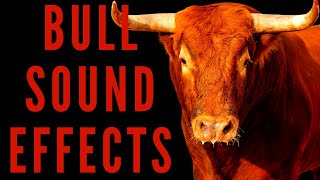 BULL SOUND EFFECTS  How Do Bull Sounds [upl. by Siesser]