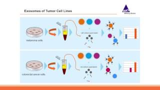 Webinar Exosome Analysis Using a Multiplex BeadBased Flow Cytometry Assay [upl. by Rednav679]