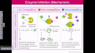 Enzyme inhibition [upl. by Groot829]