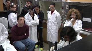 Biology First Year Lab  York University [upl. by Yornoc]