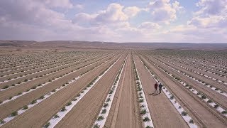 Agriculture in the Negev Todays Desert Pioneers [upl. by Eiduj]