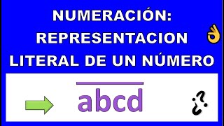 REPRESENTACION LITERAL DE LOS NUMEROS [upl. by Recneps843]