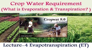 CropWAT 80 What is Evapotranspiration in CWR 4 [upl. by Alarick]