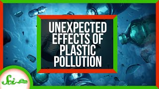 3 Unexpected Effects of Plastic Pollution [upl. by Hussein]