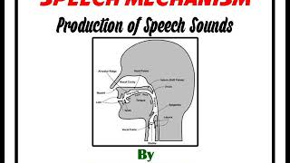 Production of Speech Sounds [upl. by Viccora]