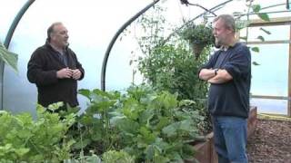 Why use a Polytunnel  V47 [upl. by Ginnie635]