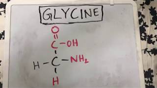 Glycine Structure  Amino Acid Basics [upl. by Blankenship]