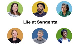 Life at Syngenta [upl. by Aleunam]