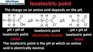 B2 Isoelectric point of amino acids SL [upl. by Crifasi]