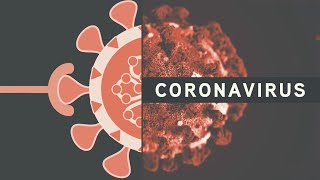 Studying Coronaviruses Vectors to Vaccines [upl. by Irmina]