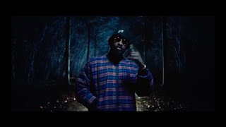 Damso Bxl Zoo feat Hamza clip non officiel [upl. by Nitsid684]