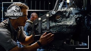 Claire Asks Owen For Help  Jurassic World 2015  Screen Bites [upl. by Tuchman]