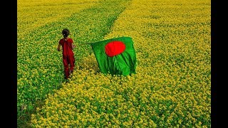 Amar Sonar Bangla Ami Tomai Valobashi Bangladesh National Song [upl. by Allicserp]