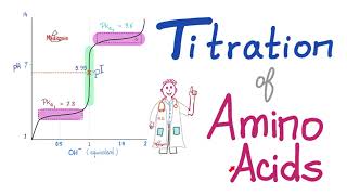 Titration of Amino Acids  pH pKa1 and pKa2  Isoelectric Point Amino Acids Part 4 [upl. by Duhl]