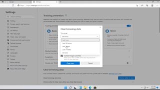 Windows 11  How to Delete Browsing History Tutorial [upl. by Owen955]