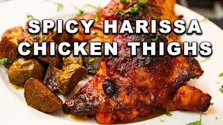 Spicy Harissa Chicken Thighs [upl. by Codd]