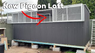 Building my new Pigeon Loft [upl. by Ycul945]