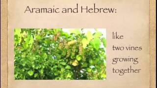 What is Biblical Aramaic [upl. by Hanej]