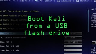 Get Started with Kali Linux as a Bootable Live USB Tutorial [upl. by Apul]