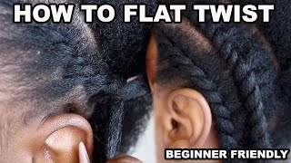 101  HOW TO FLAT TWIST NATURAL HAIR BEGINNER FRIENDLY [upl. by Algar]