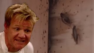 The Absolute Dirtiest Kitchen on Kitchen Nightmares and the Lawsuit that resulted from it [upl. by Chemash]