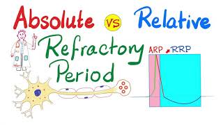 Absolute Refractory period vs Relative refractory period  ARP vs RRP  AllorNon Law [upl. by Gerard]