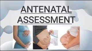 ANTENATAL ASSESSMENT  FULL DETAILS [upl. by Karb176]