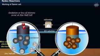 Working of Daniell Cell [upl. by Seidel]