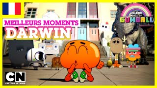 Le Monde Incroyable de Gumball 🇫🇷  Les meilleurs moments de Darwin 1 [upl. by Anaic]