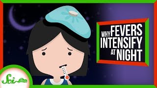 Why Do Fevers Get Worse at Night [upl. by Ecirtal]