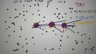 Microtubule nucleation through phase separation [upl. by Jegar]