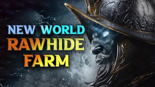 BEST New World Best Rawhide Farm Locations 2024 [upl. by Aprile]