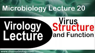 Virology lecture 1  Virus structure and classification [upl. by Yasmin299]