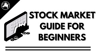 STOCK MARKET BASICS [upl. by Aynotan661]