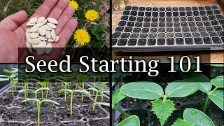 How To Start Vegetable Seeds  The Definitive Guide For Beginners [upl. by Albers]