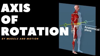 Understanding Axes of MovementRotation [upl. by Nnylyt]