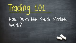 Trading 101 How Does the Stock Market Work [upl. by Arleta]