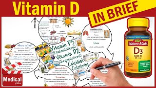 Vitamin D3 Cholecalciferol  Vitamin D2 Ergocalciferol  Calcitriol Sources Uses Dosage [upl. by Anrahs]