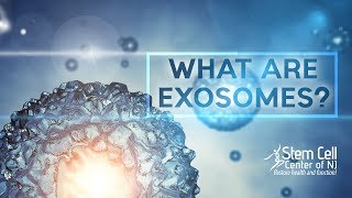 What Are Exosomes [upl. by Eniamaj]