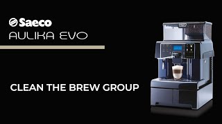 Aulika Evo Top  Brew Group Cleaning [upl. by Matthews]