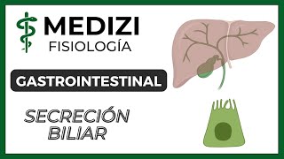 Clase 51 Fisiología Gastrointestinal  Secreción Biliar IGdoctorpaiva [upl. by Ak]