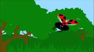 Ladybug Ladybug  Nursery Rhyme [upl. by Gianni]